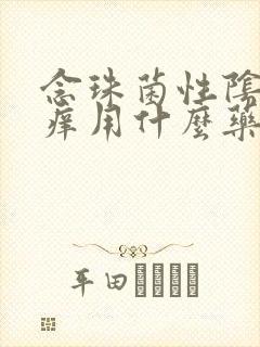 念珠菌性阴炎止痒用什么药