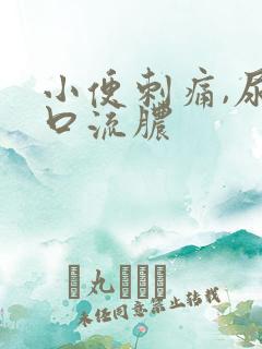 小便刺痛,尿道口流脓