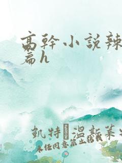 高干小说辣文短篇h