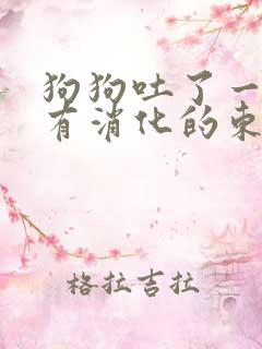 狗狗吐了一堆没有消化的东西怎么办