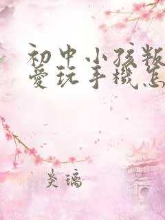 初中小孩叛逆,爱玩手机怎么办