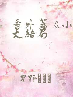 番外篇《小莹》大结局