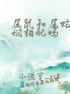 属鼠和属蛇的婚姻相配吗