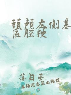 头颅左侧基底节区腔梗