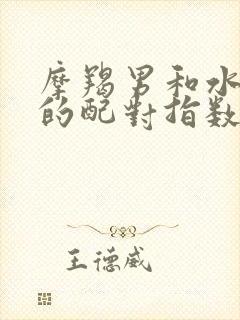 摩羯男和水瓶女的配对指数