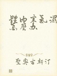 体内寒气湿气重怎么办