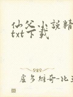 仙父小说精校版txt下载