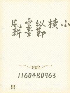 风云纵横小说最新章节