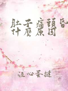 肚子痛头昏想吐什么原因