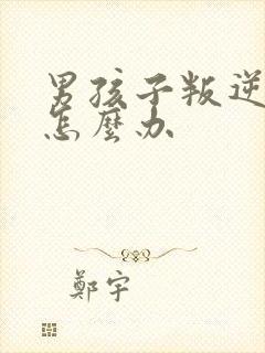 男孩子叛逆期时怎么办