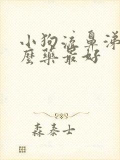 小狗流鼻涕吃什么药最好