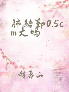 肺结节0.5cm大吗