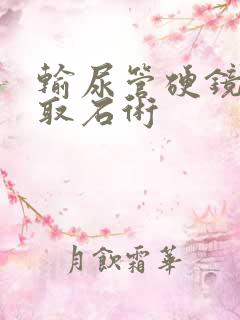 输尿管硬镜碎石取石术