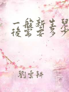 一般新生儿出生后需要多少片nb纸尿裤