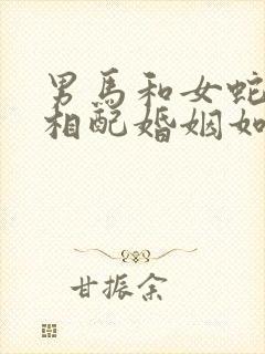 男马和女蛇属相相配婚姻如何