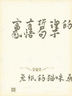 富有哲理的人生感悟句子