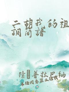 二胡我的祖国g调简谱