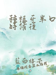 种植牙半口牙临时修复