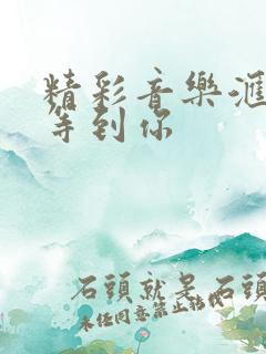 精彩音乐汇终于等到你