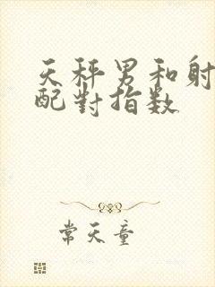 天秤男和射手女配对指数