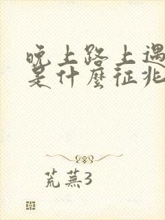 晚上路上遇到蛇是什么征兆呢