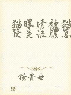 猫眼睛被猫抓伤发炎流脓怎么办