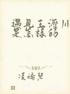 遇见王沥川结局是怎样的