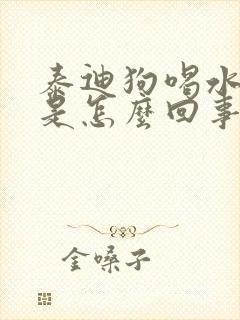 泰迪狗喝水就吐是怎么回事