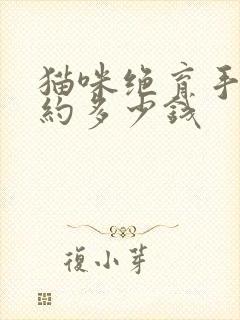 猫咪绝育手术大约多少钱