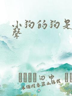 小狗的狗是第几声