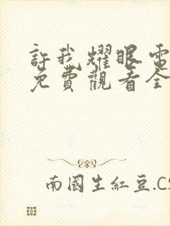 许我耀眼电视剧免费观看全集在线