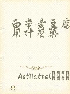 白带黄豆腐渣状用什么药