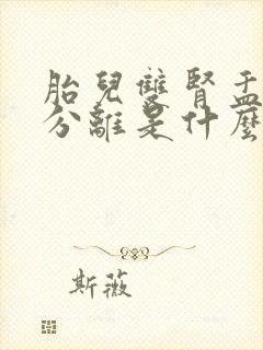 胎儿双肾盂轻度分离是什么意思