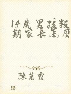 14岁男孩叛逆期家长怎么办