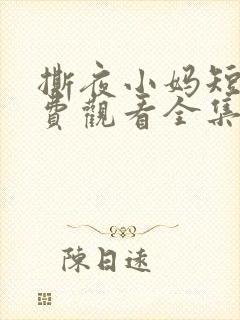 撕夜小妈短剧免费观看全集最新章节