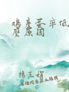 鸡产蛋率低是什么原因