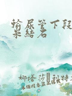 输尿管下段5毫米结石