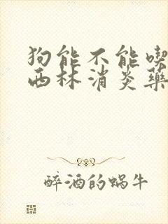 狗能不能吃阿莫西林消炎药