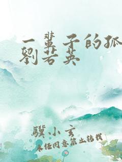 一辈子的孤单 刘若英