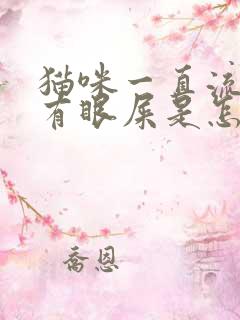 猫咪一直流眼泪有眼屎是怎么回事