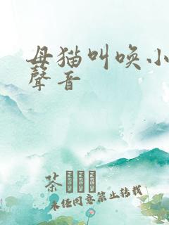 母猫叫唤小猫的声音