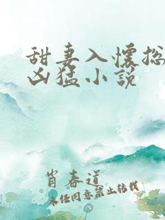 甜妻入怀总裁太凶猛小说