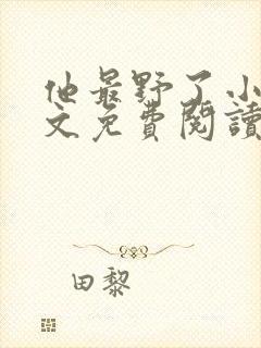 他最野了小说全文免费阅读无弹窗