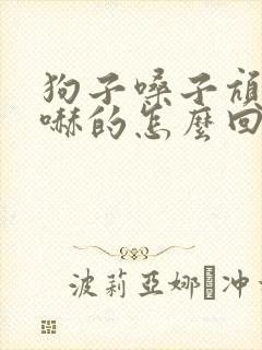 狗子嗓子吭哧吭哧的怎么回事