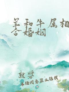 羊和牛属相合不合婚姻