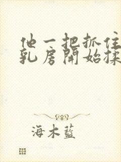 他一把抓住她的乳房开始揉乳头