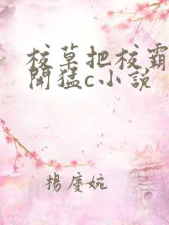 校草把校霸腿扒开猛c小说