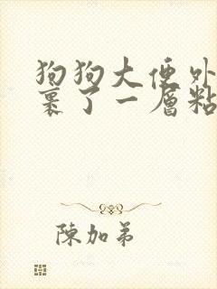 狗狗大便外面包裹了一层粘液