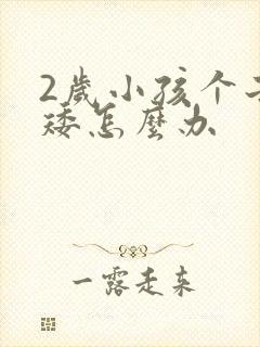 2岁小孩个子偏矮怎么办