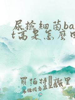 尿检细菌bact高是怎么回事